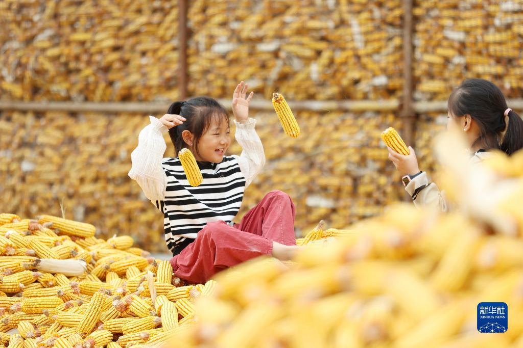 捕鱼下游戏大厅